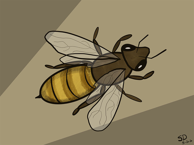 Bee Appreciation Digital Art