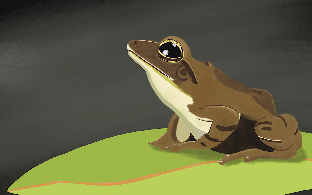 Frog Painting Web